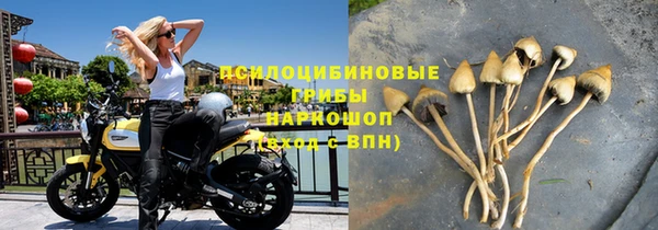 тгк Касимов