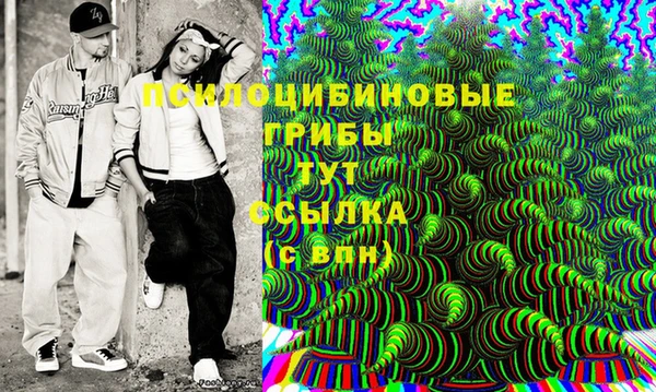 тгк Касимов