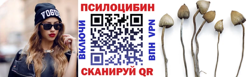 Псилоцибиновые грибы ЛСД  Купить где  Богородицк 
